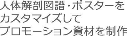 人体解剖図譜・ポスターをカスタマイズしてプロモーション資材を制作